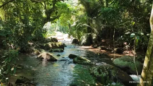 Fazenda/Sítio com 1 Quarto à venda, 150000m² no Papucaia, Cachoeiras de Macacu