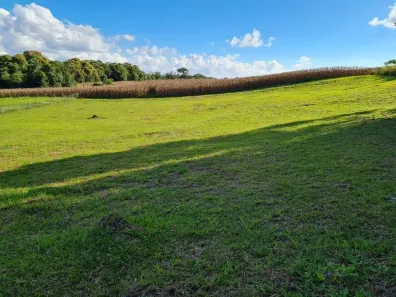 Fazenda/Sítio à venda, 3527m² no Campo Alegre, Campo Alegre