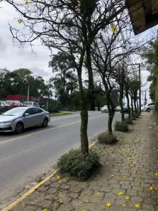 Casa com 3 Quartos para alugar, 150m² no Glória, Joinville
