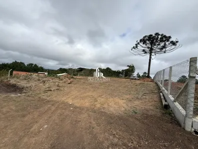 Lote/Terreno à venda, 1000m² no Jardim Nesita, Campina Grande do Sul