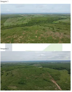 Fazenda/Sítio à venda, 2510000m² no Setor Central, Araguaçu