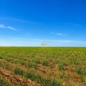 Fazenda/Sítio com 3 Quartos à venda, 6243600m² no Área Rural de Cianorte, Cianorte