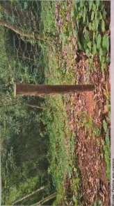 Lote/Terreno à venda, 1400m² no Ubatumirim, Ubatuba