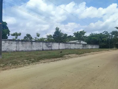 Fazenda/Sítio com 3 Quartos à venda, 400m² no Centro, Bragança