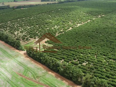 Fazenda/Sítio à venda, 1m² no Área Rural de Avaré, Avaré
