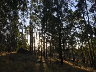 Lote/Terreno à venda, 20000m² no Sousas, Campinas