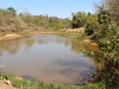 Lote/Terreno à venda, 1000m² no , Jequitibá