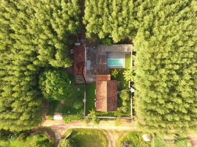 Fazenda/Sítio com 4 Quartos à venda, 8000m² no Centro, Paranavaí