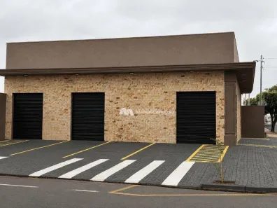Sala Comercial para alugar, 49m² no Jardim Paulista, São José do Rio Preto