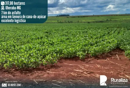 Fazenda/Sítio à venda, 317m² no Centro, Uberaba