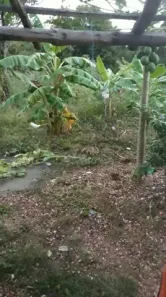 Lote/Terreno à venda, 4000m² no Vista Alegre, Cuiabá