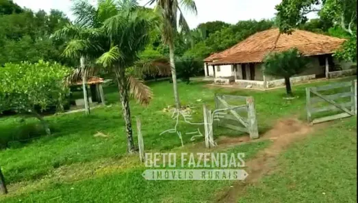 Fazenda/Sítio à venda, 834000000m² no , São Félix do Araguaia