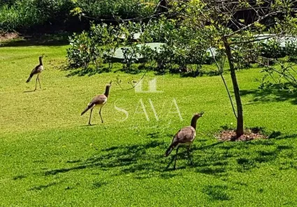 Lote/Terreno à venda, 1000m² no , Brumadinho