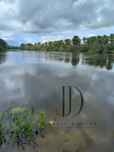 Fazenda/Sítio à venda, 54200000m² no , Santa Rita de Cássia