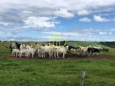 Fazenda/Sítio com 3 Quartos à venda, 10m² no Alambari, Alambari