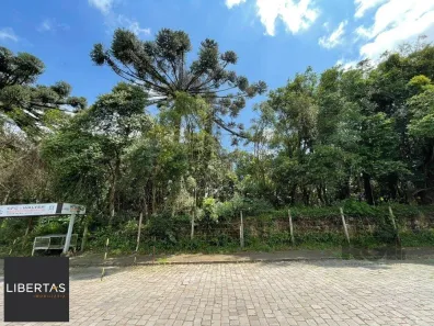 Lote/Terreno à venda, 13420m² no Marechal Floriano, Caxias do Sul