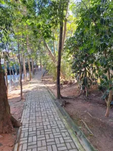 Apartamento com 3 Quartos para alugar, 95m² no Jardim Arpoador, São Paulo