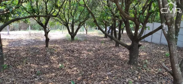 Lote/Terreno à venda, 500m² no Nova Suiça, Piracicaba