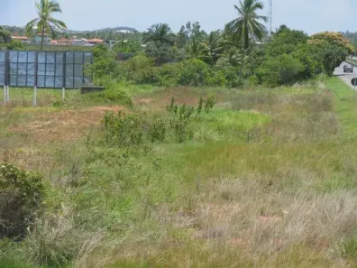 Lote/Terreno à venda, 8000m² no Arembepe (Abrantes), Camaçari