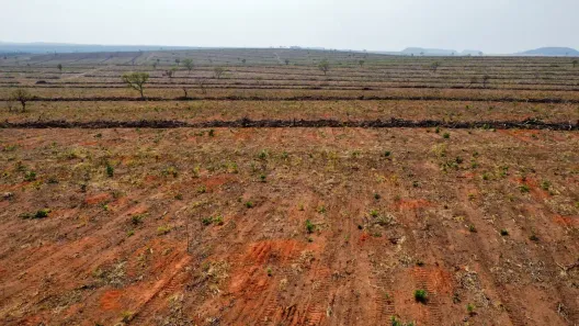 Fazenda/Sítio à venda, 7300m² no , Santo Antônio do Leste