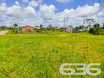 Lote/Terreno à venda, 490m² no Praia do Ervino, São Francisco do Sul