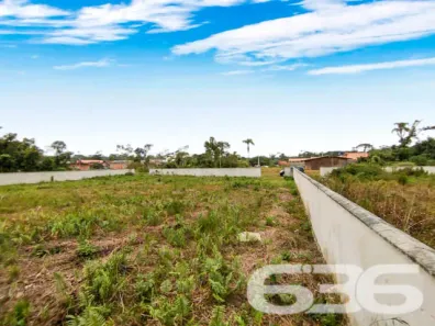 Lote/Terreno à venda, 370m² no Praia do Ervino, São Francisco do Sul