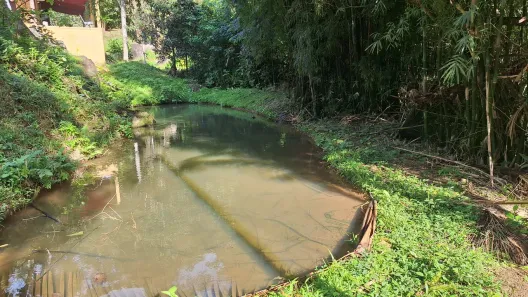 Fazenda/Sítio com 2 Quartos à venda, 70m² no Centro, Itariri