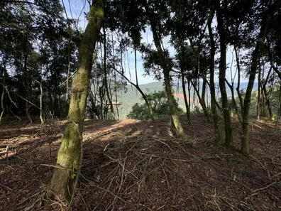 Fazenda/Sítio à venda, 30000m² no Vila Olinda, Nova Petrópolis