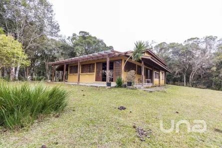 Fazenda/Sítio com 2 Quartos à venda, 420m² no Planta Araçatuba, Piraquara