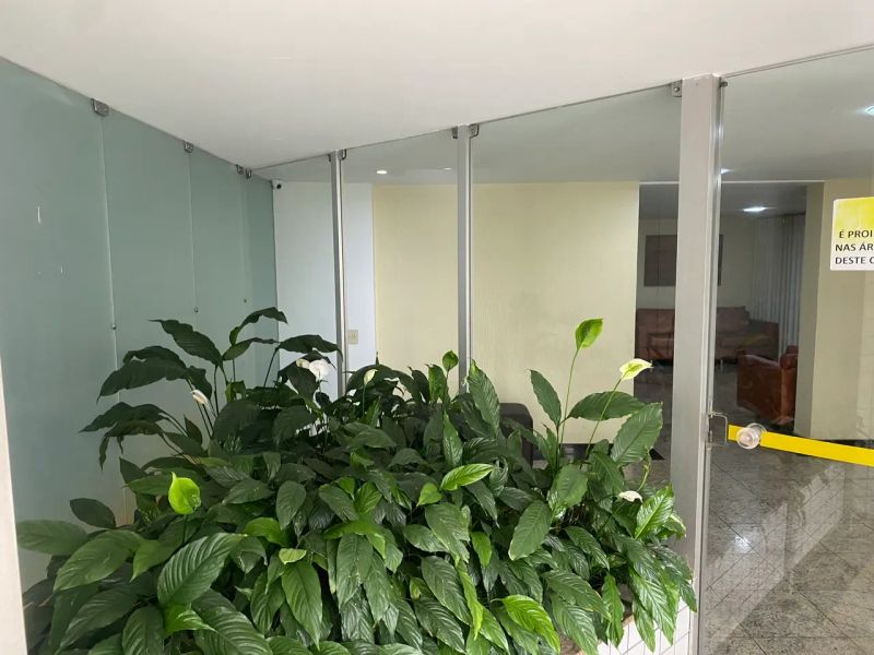Foto 13