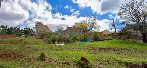 Lote/Terreno à venda, 250m² no Columbia, Londrina
