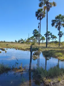 Fazenda/Sítio com 1 Quarto à venda, 500m² no , Cocos