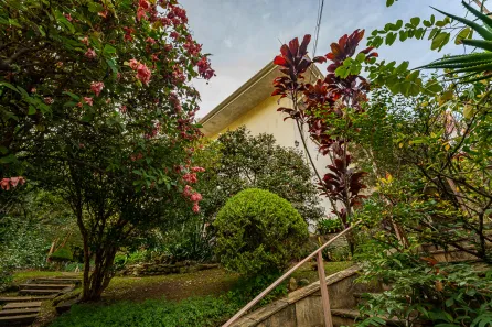 Casa com 3 Quartos à venda, 320m² no Pacaembu, São Paulo