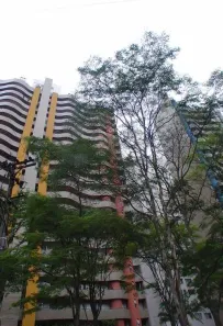 Cobertura com 4 Quartos à venda, 220m² no Jardim Ampliação, São Paulo