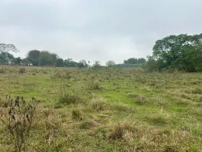 Fazenda/Sítio à venda, 67760m² no Área Rural de Promissão, Promissão