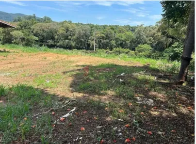 Lote/Terreno à venda, 1200m² no Chácara Malota, Jundiaí