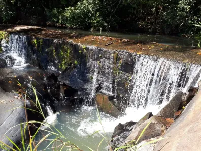 Lote/Terreno à venda, 40000m² no , Florestal