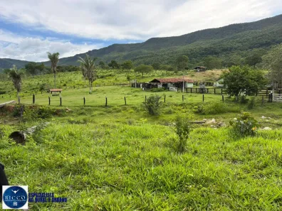 Fazenda/Sítio com 3 Quartos à venda, 597m² no Setor Central, Paranã
