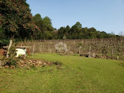 Fazenda/Sítio com 3 Quartos à venda, 200m² no Parada Cristal, Caxias do Sul