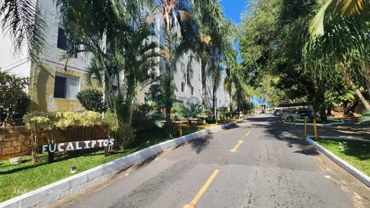 Apartamento com 3 Quartos à venda, 64m² no Vila Padre Manoel de Nóbrega, Campinas