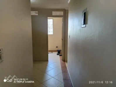 Apartamento com 3 Quartos para venda ou aluguel, 63m² no Brás, São Paulo
