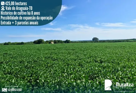 Fazenda/Sítio à venda, 425m² no , Dois Irmãos do Tocantins