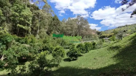 Fazenda/Sítio com 5 Quartos à venda, 870000m² no , Delfim Moreira