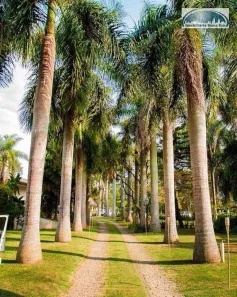 Fazenda/Sítio com 4 Quartos à venda, 666m² no Dois Córregos, Valinhos