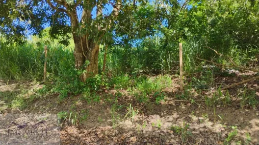 Lote/Terreno à venda, 360m² no Jardim Interlagos (Ponta Negra), Maricá
