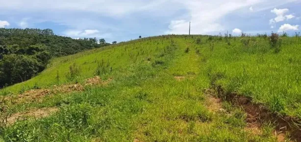 Fazenda/Sítio à venda, 133000m² no , Piracaia