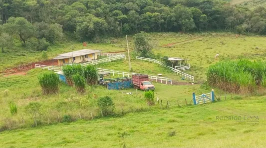 Fazenda/Sítio à venda, 70000m² no , Dom Viçoso