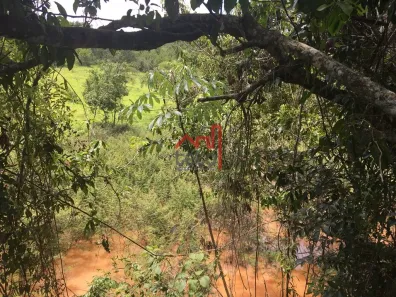 Lote/Terreno à venda, 5000m² no , Onça de Pitangui