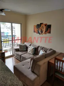 Apartamento com 2 Quartos à venda, 52m² no Vila Pereira Barreto, São Paulo