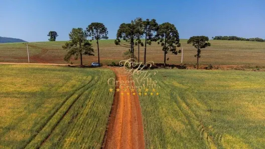 Fazenda/Sítio com 2 Quartos à venda, 1051900m² no São Bento do Amparo, Tibagi